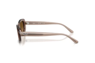 Sidevisning Ray-Ban RB2221 (6827M2)