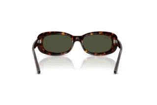 Bagside Ray-Ban RB2221 (902/31)