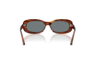 Bagside Ray-Ban RB2221 (954/62)