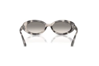 Bagside Ray-Ban RB2223 (144832)