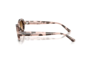 Sidevisning Ray-Ban RB2223 (144951)