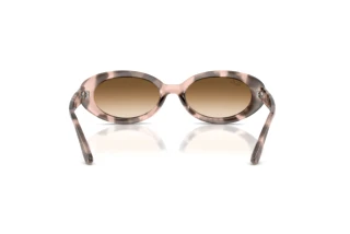 Bagside Ray-Ban RB2223 (144951)