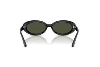 Bagside Ray-Ban RB2223 (901/31)