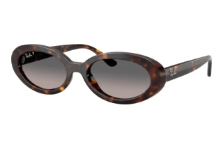 Forfra Ray-Ban RB2223 (902/M3)