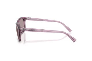 Sidevisning Ray-Ban RB2226 (684753)