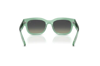 Bagside Ray-Ban RB2228M (F70911)