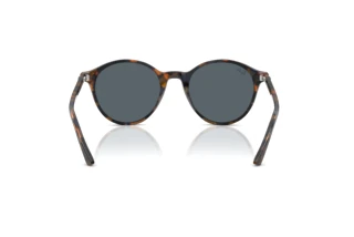 Bagside Ray-Ban RB2230 (1356R5)