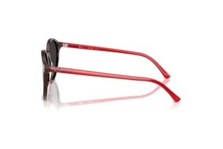 Sidevisning Ray-Ban BERNARD (RB2230 - 141948)