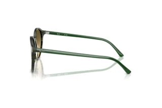 Sidevisning Ray-Ban BERNARD (RB2230 - 14210A)