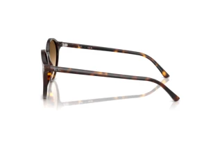 Sidevisning Ray-Ban BERNARD (RB2230 - 902/51)
