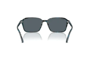 Bagside Ray-Ban RAIMOND (RB2231 - 1417R5)
