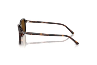 Sidevisning Ray-Ban RAIMOND (RB2231 - 902/57)