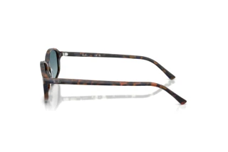 Sidevisning Ray-Ban RB2232 (13563M)
