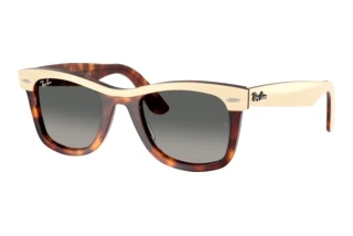 Forfra Ray-Ban WAYFARER (RB2240 - 144371)