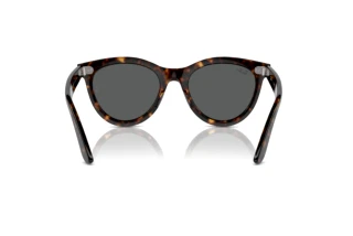 Bagside Ray-Ban WAYFARER WAY (RB2241 - 902/B1)