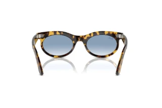 Bagside Ray-Ban WAYFARER OVAL (RB2242 - 13323F)