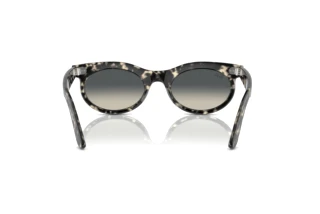 Bagside Ray-Ban WAYFARER OVAL (RB2242 - 133371)