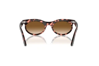 Bagside Ray-Ban WAYFARER OVAL (RB2242 - 133451)