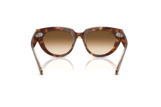 Bagside Ray-Ban DOREEN (RB2286 - 141451)