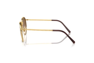 Sidevisning Ray-Ban NEW ROUND (RB3637 - 001/51)