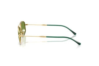 Sidevisning Ray-Ban RB3719 (001/4E)