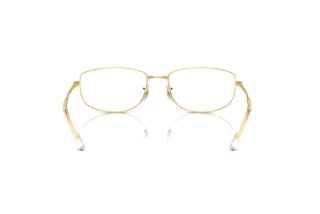 Bagside Ray-Ban RB3732 (001/GJ)
