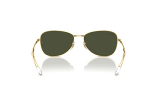 Bagside Ray-Ban RB3733 (001/31)