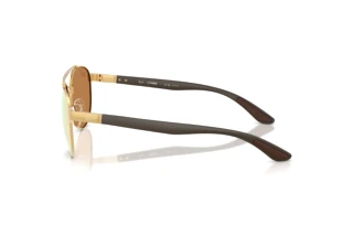 Sidevisning Ray-Ban RB3736CH (001/I0)