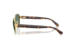 Sidevisning Ray-Ban RB3766CH (001/O9)