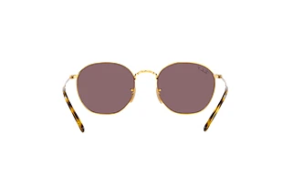Bagside Ray-Ban ROB (RB3772 - 001/AF)
