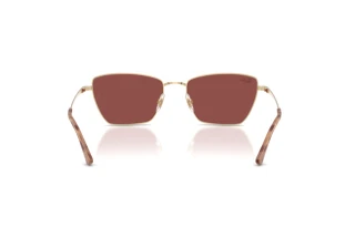 Bagside Ray-Ban RB3783 (921375)
