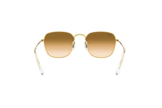 Bagside Ray-Ban FRANK (RB3857 - 919651)