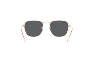 Bagside Ray-Ban FRANK (RB3857 - 9202B1)