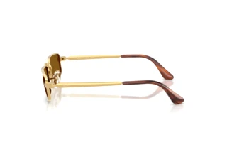 Sidevisning Ray-Ban RB3927 (001/33)