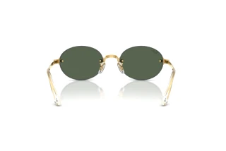 Bagside Ray-Ban RB3929 (001/71)