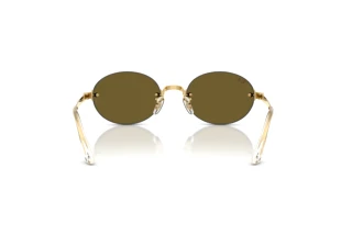 Bagside Ray-Ban RB3929 (001/73)