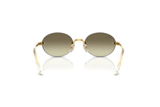 Bagside Ray-Ban RB3929 (001/7I)