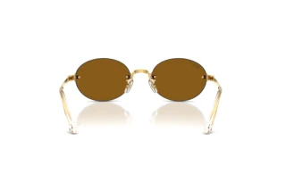 Bagside Ray-Ban RB3929 (001/83)