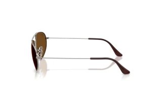 Sidevisning Ray-Ban RB3945 (004/57)