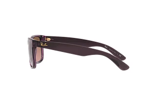 Sidevisning Ray-Ban JUSTIN (RB4165 - 659514)