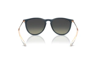 Bagside Ray-Ban ERIKA (RB4171 - 681311)