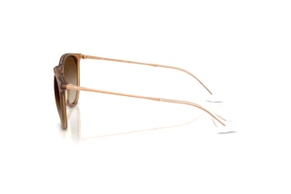 Sidevisning Ray-Ban ERIKA (RB4171 - 681413)