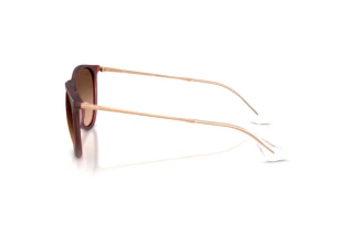 Sidevisning Ray-Ban ERIKA (RB4171 - 6815A5)