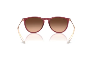 Bagside Ray-Ban ERIKA (RB4171 - 6815A5)