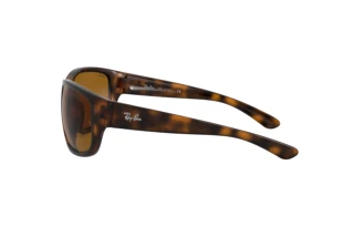 Sidevisning Ray-Ban RB4300 (710/33)