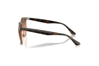 Sidevisning Ray-Ban RB4306 (678846)