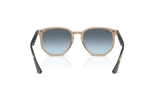 Bagside Ray-Ban RB4306 (6788V1)