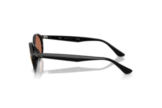 Sidevisning Ray-Ban RB4315 (601/40)