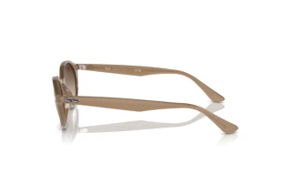 Sidevisning Ray-Ban RB4315 (616613)