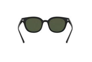 Bagside Ray-Ban RB4324 (601/31)